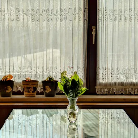 Apartma Rustika Блед